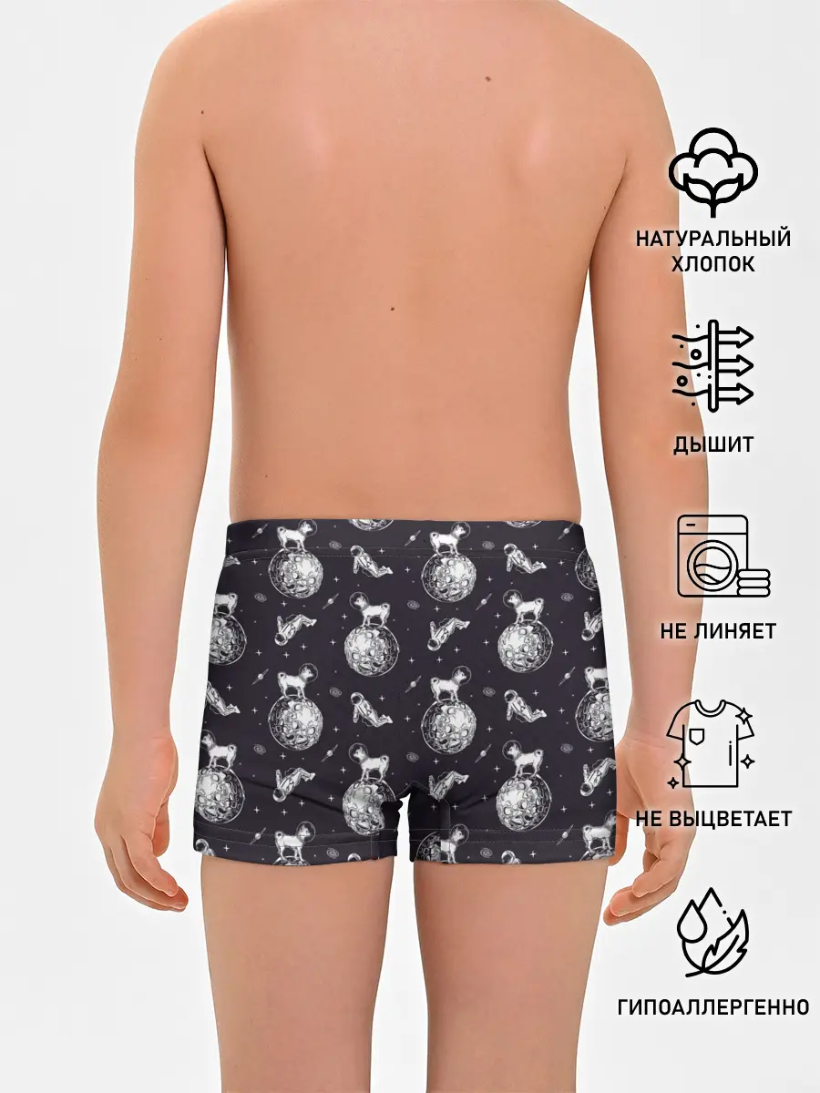 Трусы для мальчиков / Собаки - астронавты