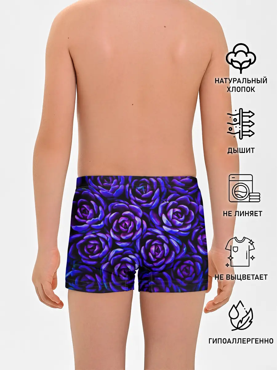 Трусы для мальчиков / Lovely Roses