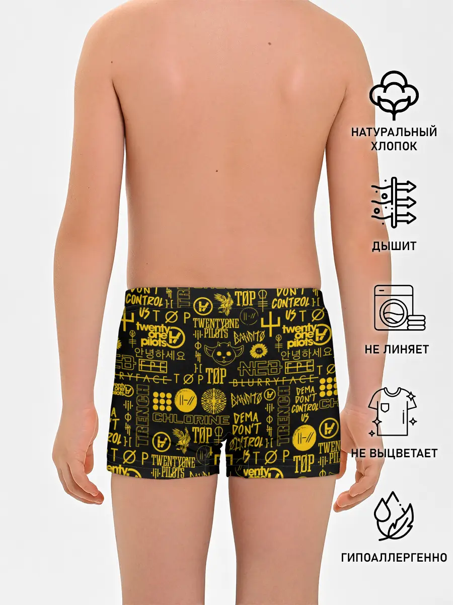 Трусы для мальчиков / TWENTY ONE PILOTS