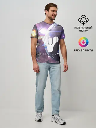 Мужская базовая футболка / DESTINY 2