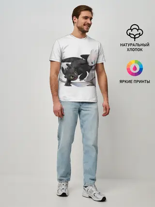 Мужская базовая футболка / Как приручить дракона