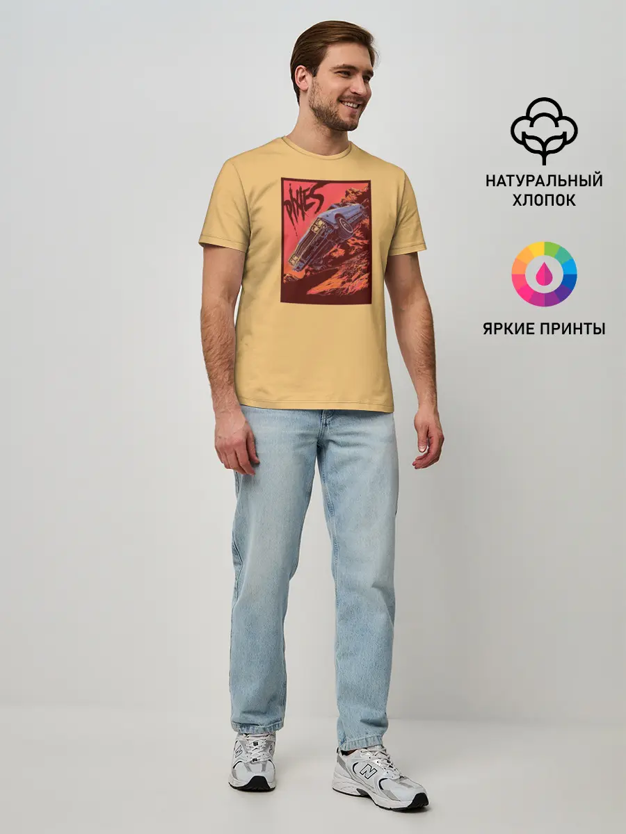 Мужская базовая футболка / Pixies