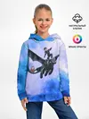 Детское худи / Night Fury