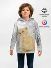 Детское худи / Кот и снег