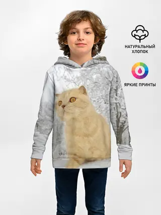 Детское худи / Кот и снег