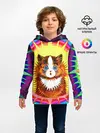 Детское худи / Psychedelic Rainbow Cat
