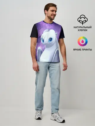 Мужская базовая футболка / дневная фурия