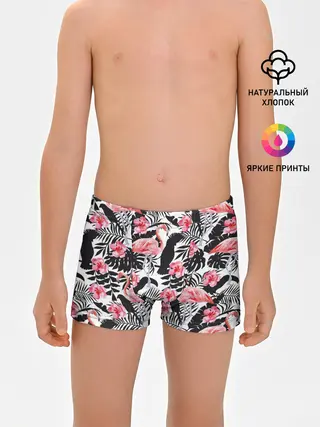 Трусы для мальчиков / фламинго и попугаи