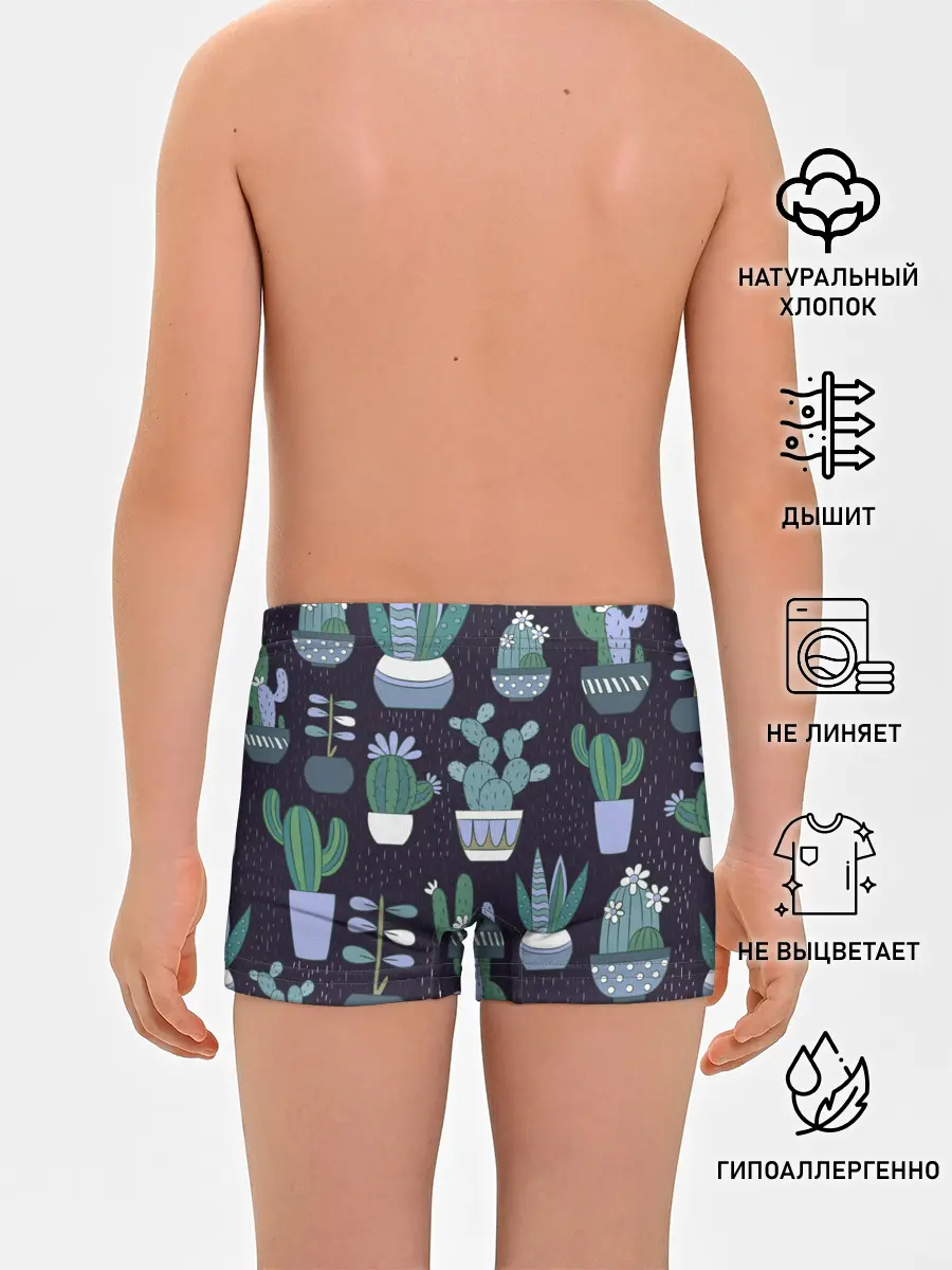 Трусы для мальчиков / Кактусы