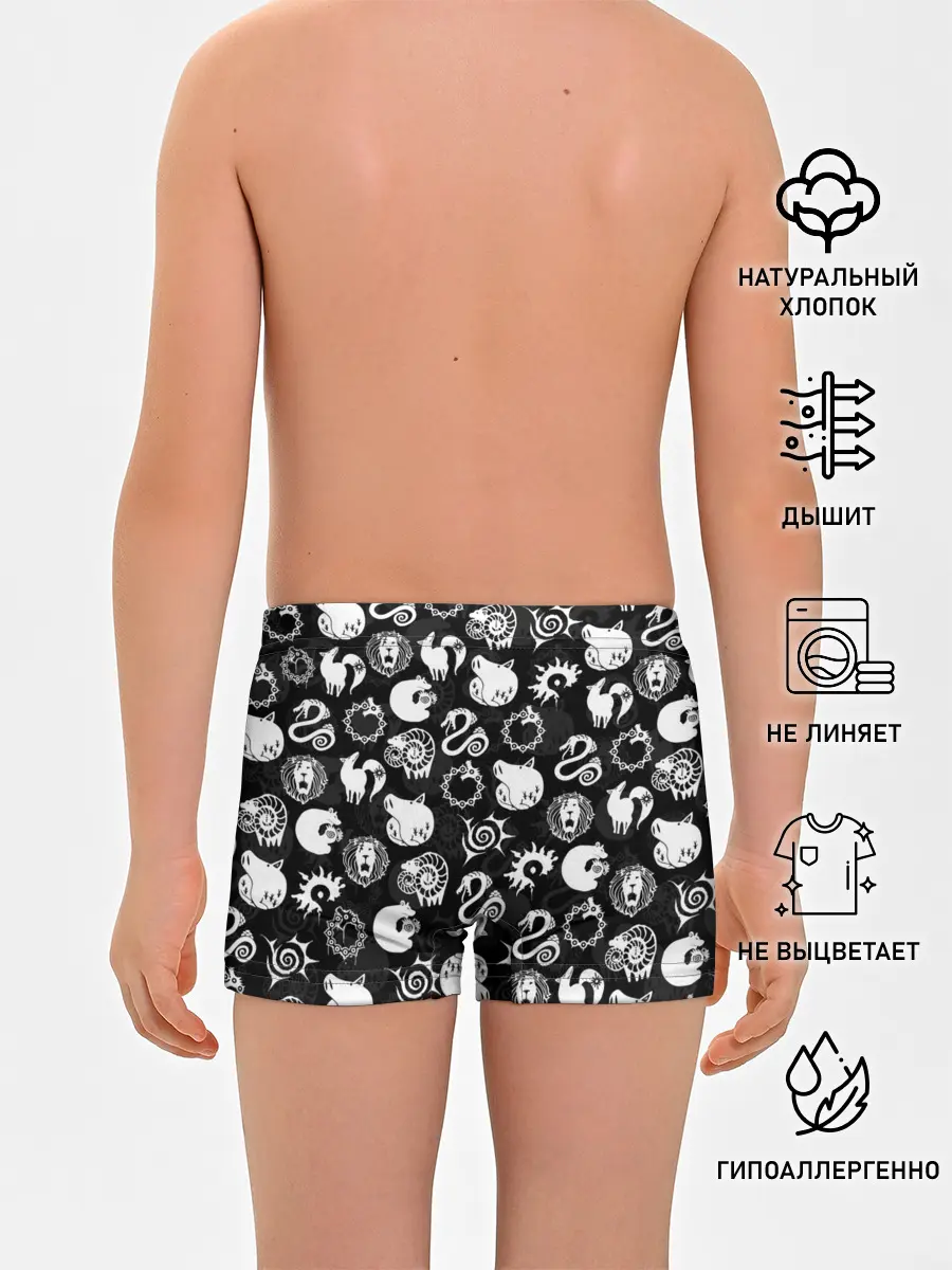 Трусы для мальчиков / SEVEN DEADLY SINS СИМВОЛЫ