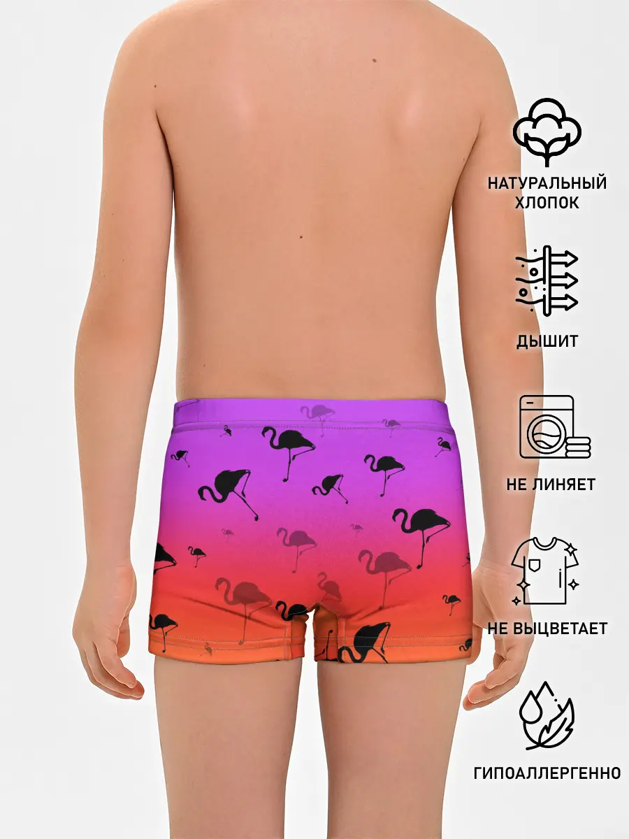 Трусы для мальчиков / Фламинго