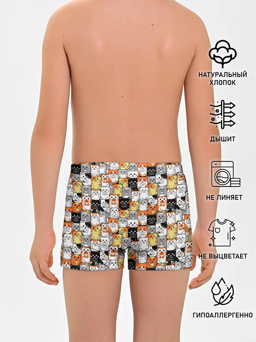 Трусы для мальчиков / Котики