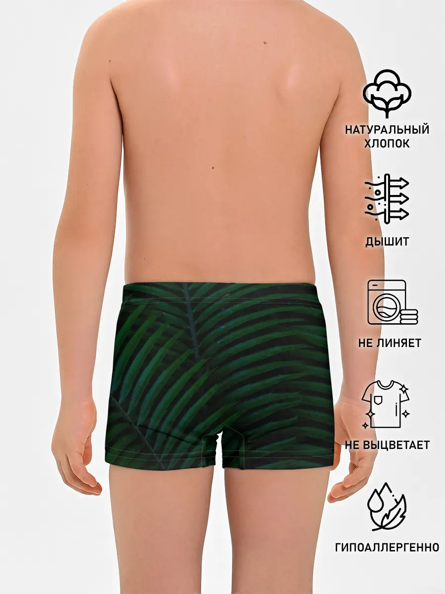 Трусы для мальчиков / Пальмовые листья