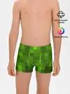 Трусы для мальчиков / Minecraft