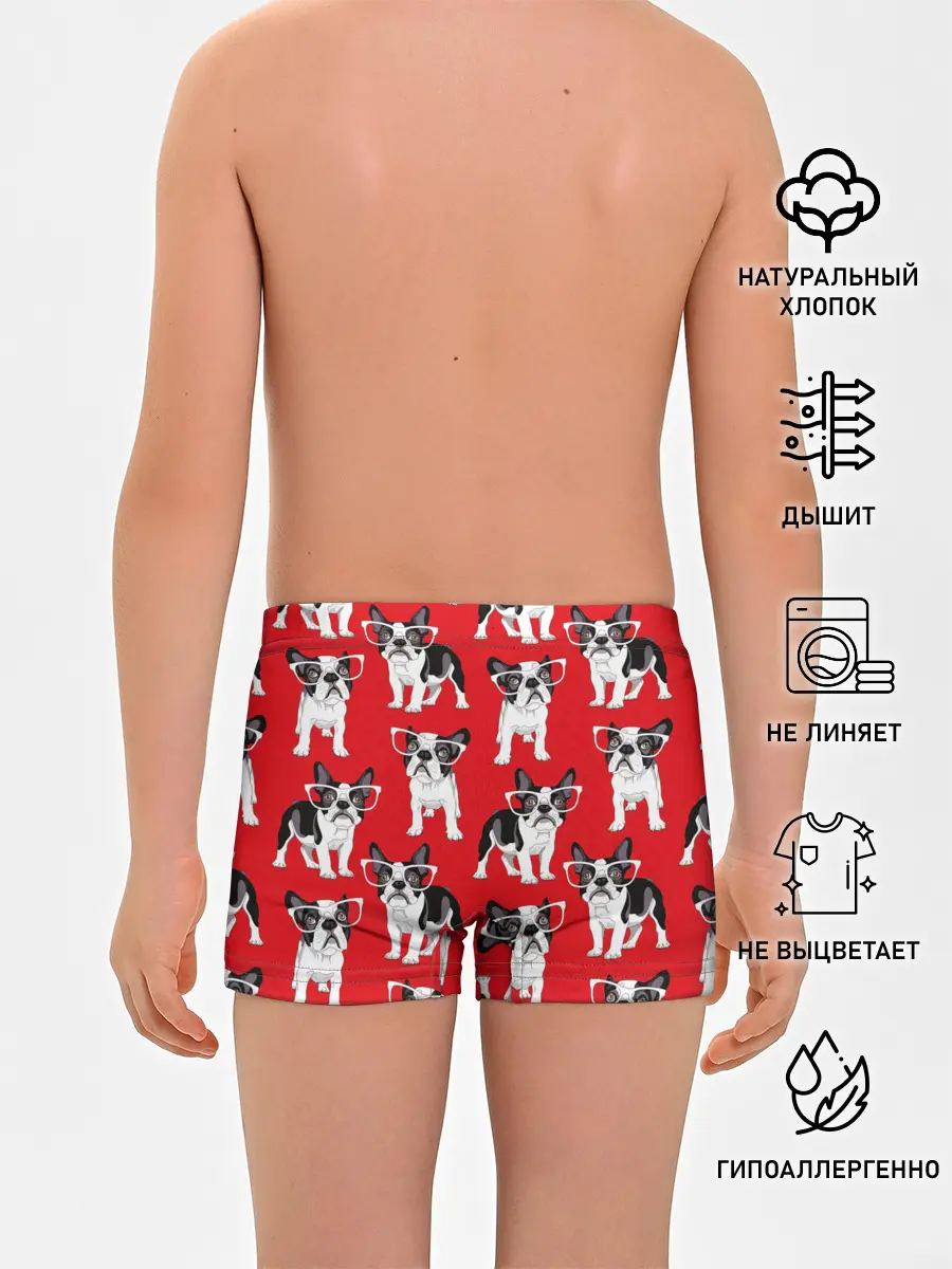 Трусы для мальчиков / Французские бульдоги