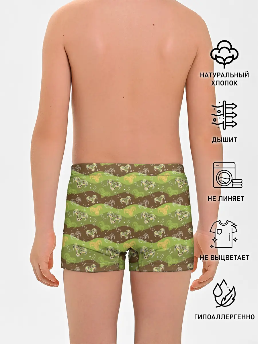 Трусы для мальчиков / Козерог