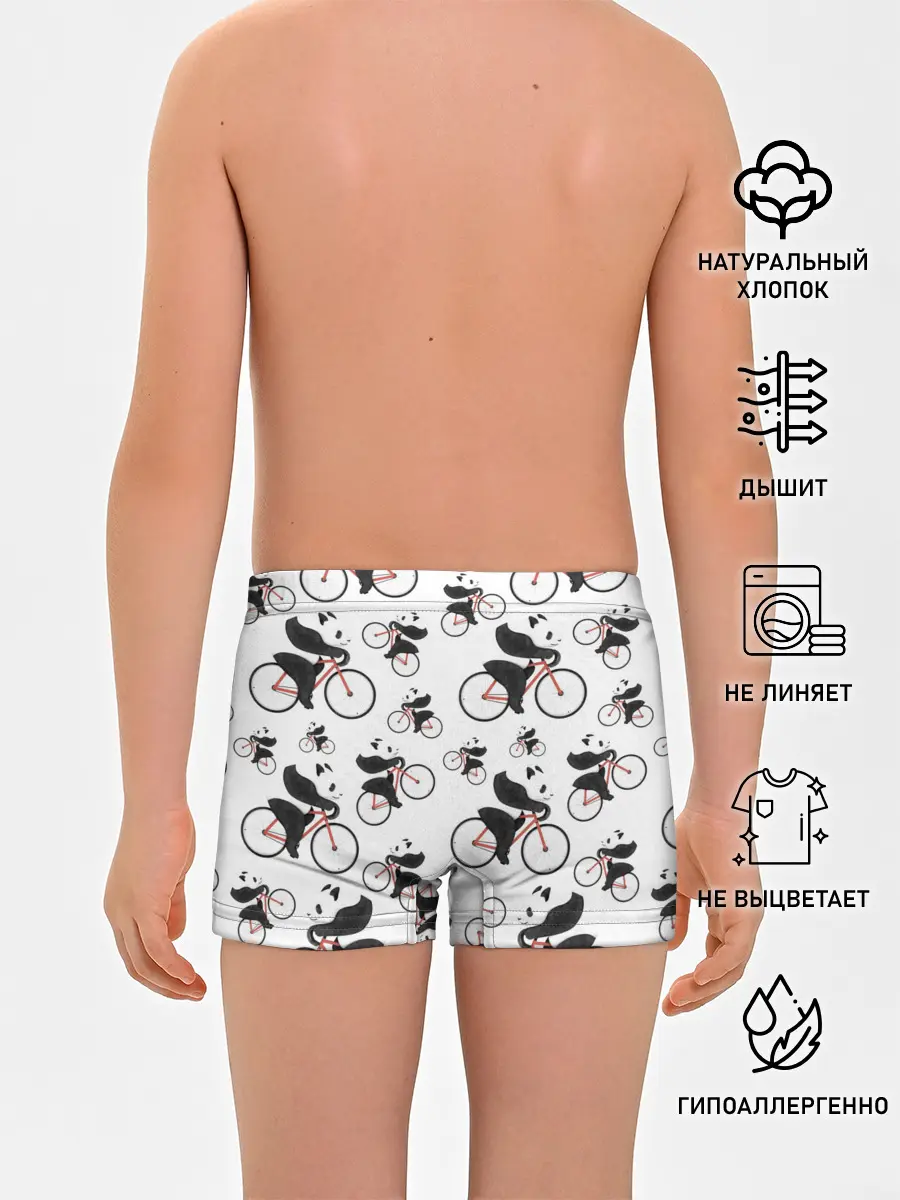 Трусы для мальчиков / Панды На Велосипеде