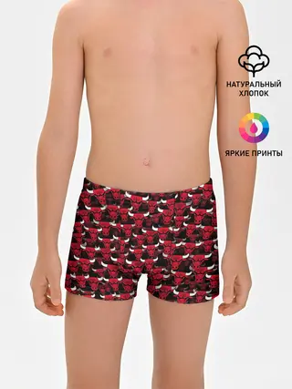 Трусы для мальчиков / Быки Chicago Bulls