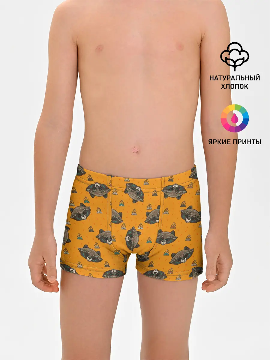 Трусы для мальчиков / Енотики