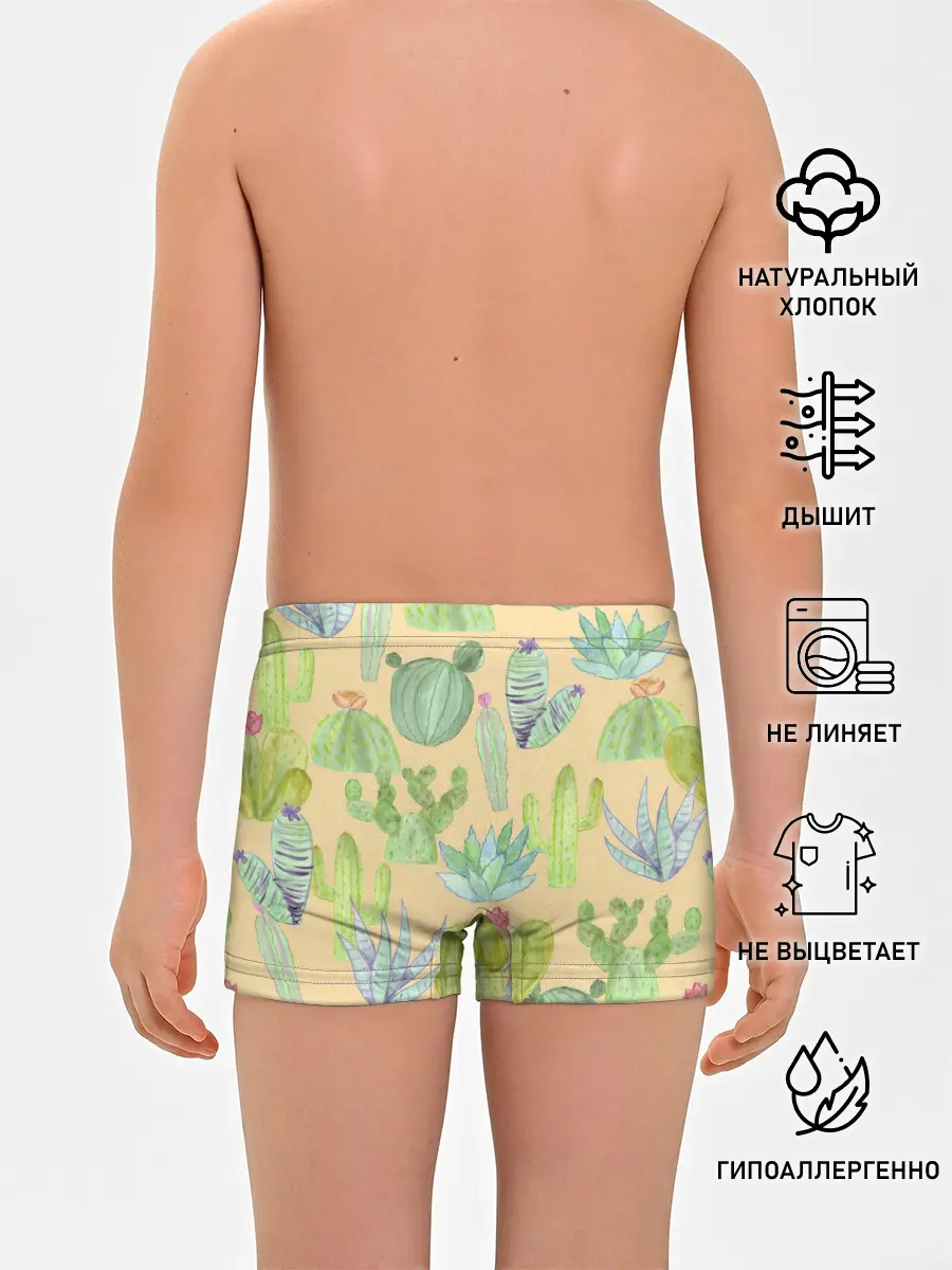 Трусы для мальчиков / Кактусы в пустыне