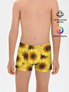 Трусы для мальчиков / Подсолнухи в поле