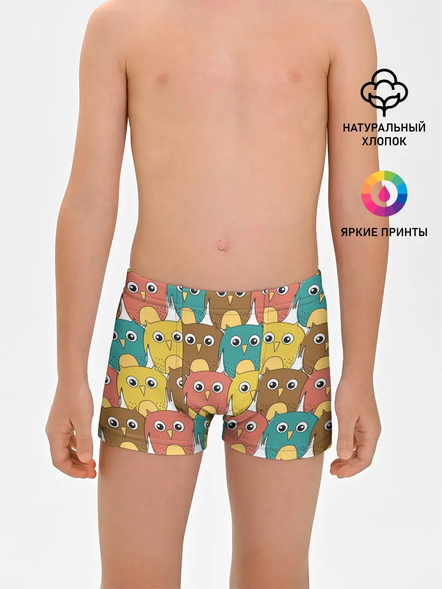 Трусы для мальчиков / Разноцветные совы