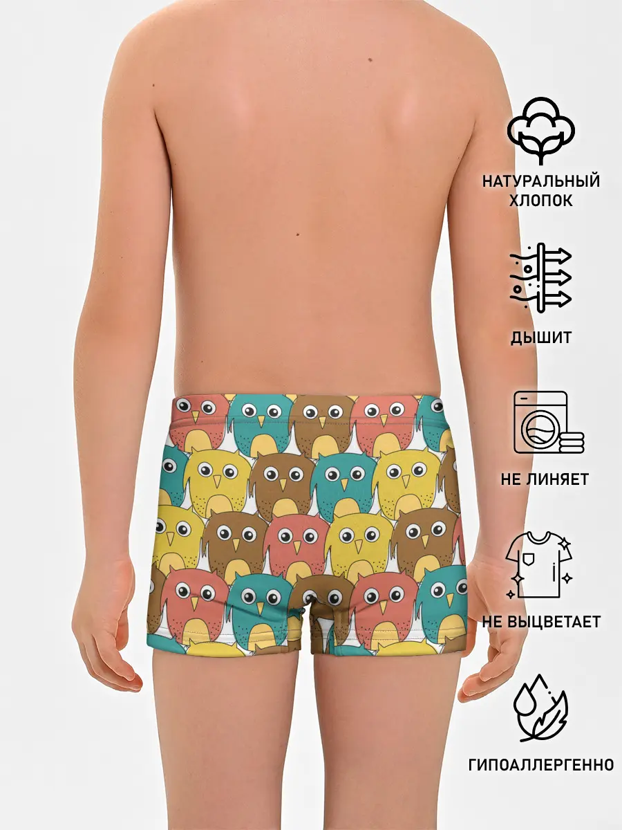Трусы для мальчиков / Разноцветные совы