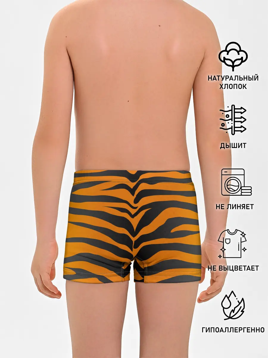 Трусы для мальчиков / Тигр