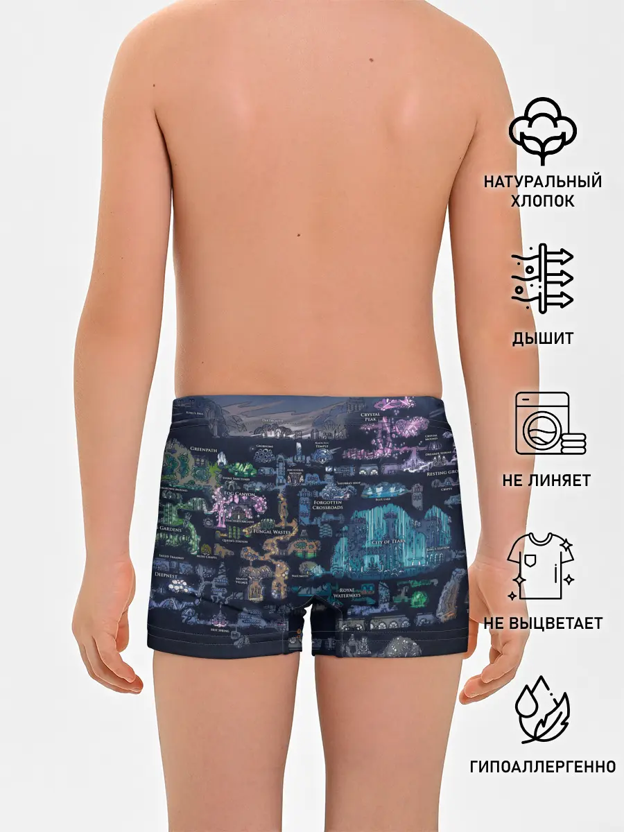 Трусы для мальчиков / HOLLOW KNIGHT WORLD