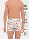 Трусы для мальчиков / Fox Pattern