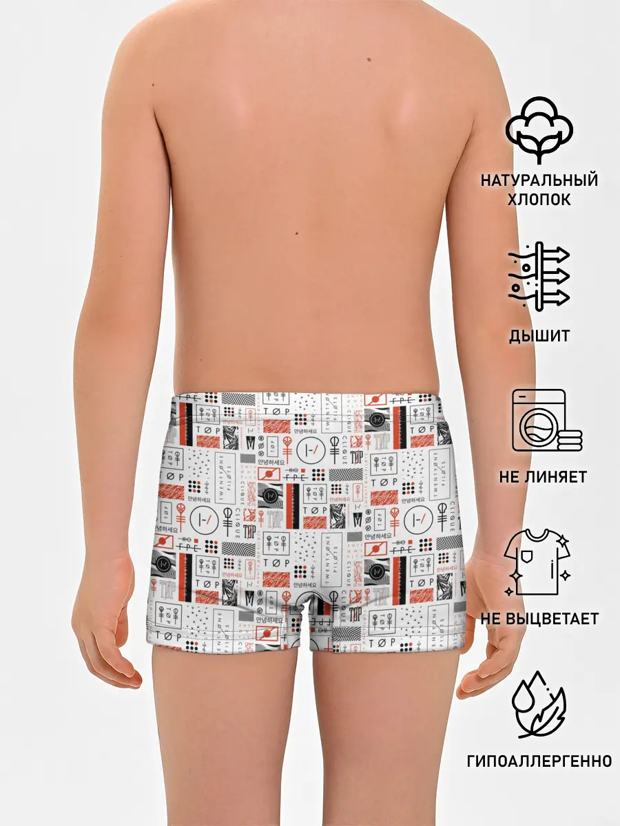 Трусы для мальчиков / Twenty One Pilots - Blurryface