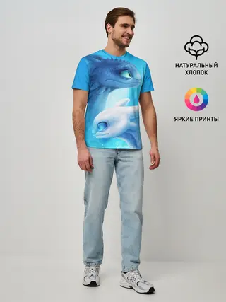 Мужская базовая футболка / как приручить дракона