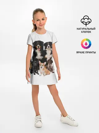Детское платье / Породистые собаки