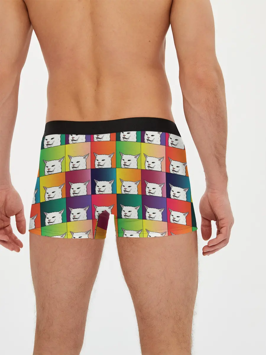 Мужские трусы боксеры / Woman Yelling at Cat