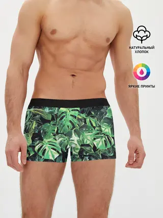 Мужские трусы боксеры / ЛИСТЬЯ