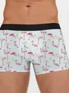 Мужские трусы боксеры / Фламинго