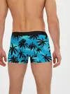 Мужские трусы боксеры / Пальмы в Горизонте