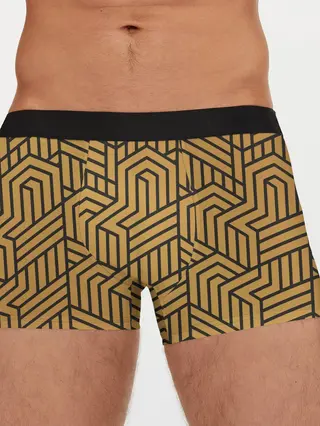 Мужские трусы боксеры / ВЕЛИКИЙ ГЕТСБИ LUXERY VINTAGE