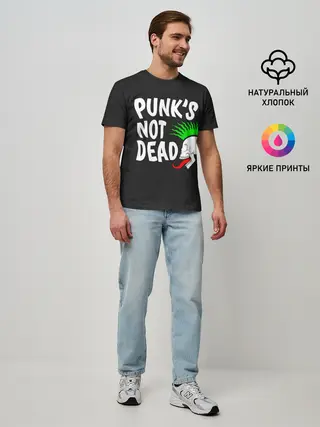 Мужская базовая футболка / Веселый панк