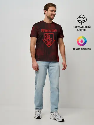 Мужская базовая футболка / System of a Down