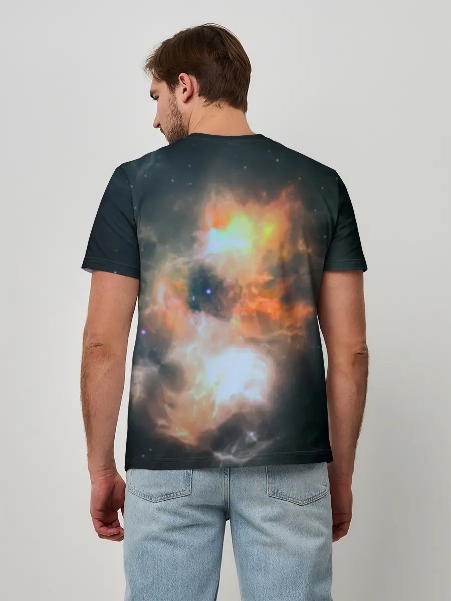 Мужская базовая футболка / Night Fury