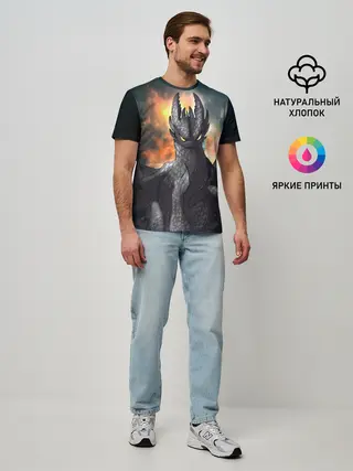 Мужская базовая футболка / Night Fury