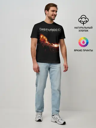 Мужская базовая футболка / Live at Red Rocks - Disturbed