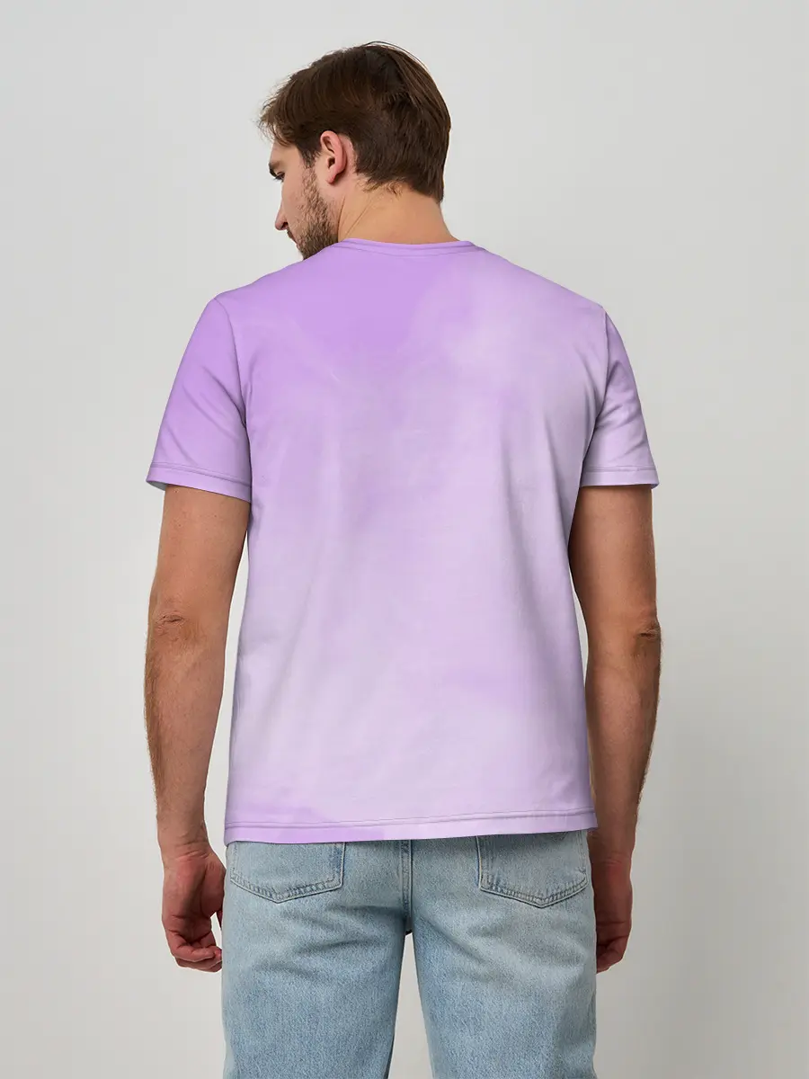 Мужская базовая футболка / Секс не предлагать