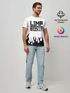 Мужская базовая футболка / Limp Bizkit