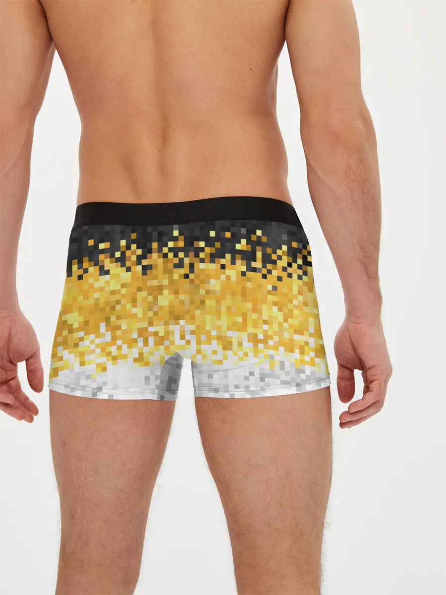 Мужские трусы боксеры / 1858 Имперский флаг пикселами