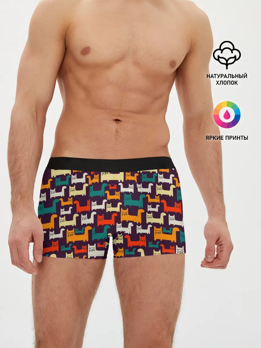 Мужские трусы боксеры / Найди чёрного кота