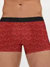 Мужские трусы боксеры / Красная готика