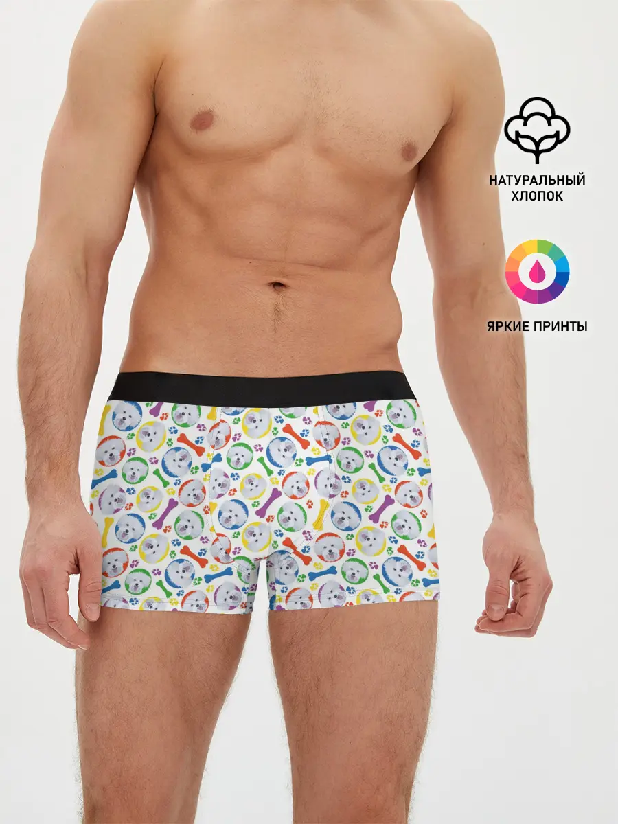 Мужские трусы боксеры / Мальтийская Болонка