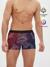 Мужские трусы боксеры / Традиционный китайский дракон